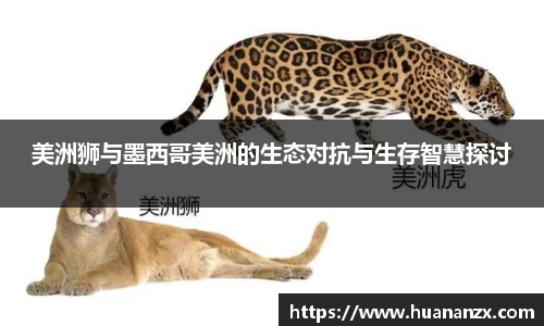 美洲狮与墨西哥美洲的生态对抗与生存智慧探讨